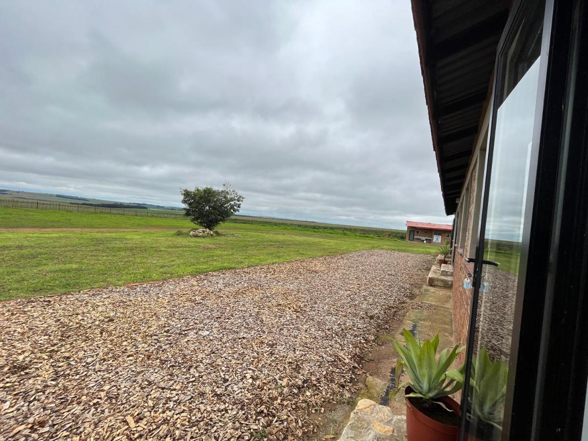 Dewdrop Farm Stay Ermelo Exteriér fotografie